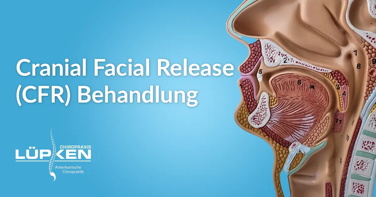 Cranial Facial Release In Der Nähe